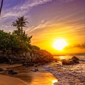 Meet your Posher, Ti